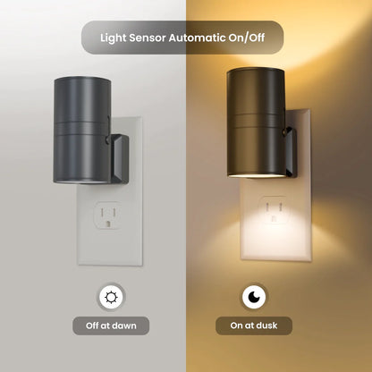 Aora Lamp